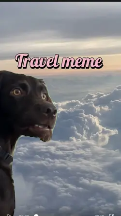 Travel meme