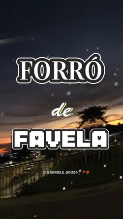 FORRÓ DE FAVELA ✨