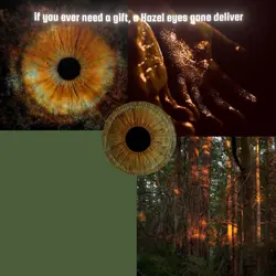 Hazel Eyes ๐ค๐๐