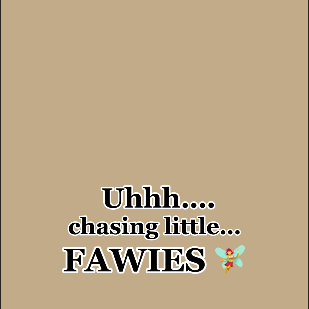 CHASER LES FAIRWIES LIL