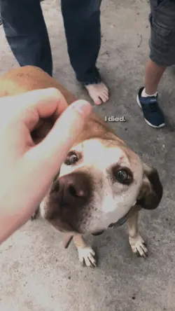 miss u Kira❤️‍🩹