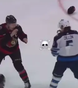 Classic hockey fight