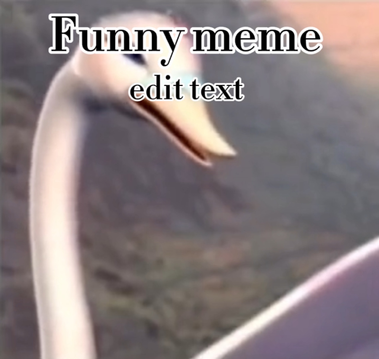 meme edit text 