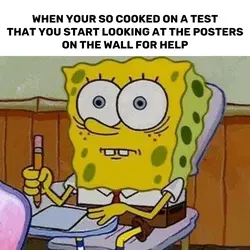 SpongeBob Test Meme