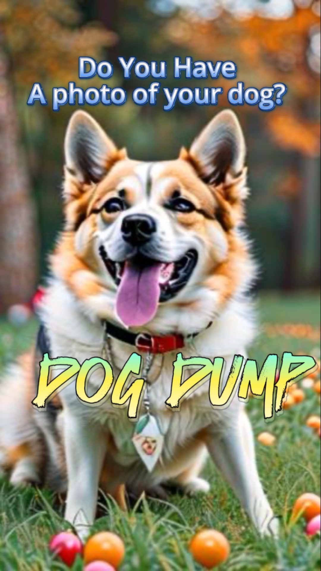 Hundekippe