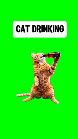 CAT DRINKING