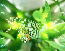 #DilMeinDardSaJagaHa