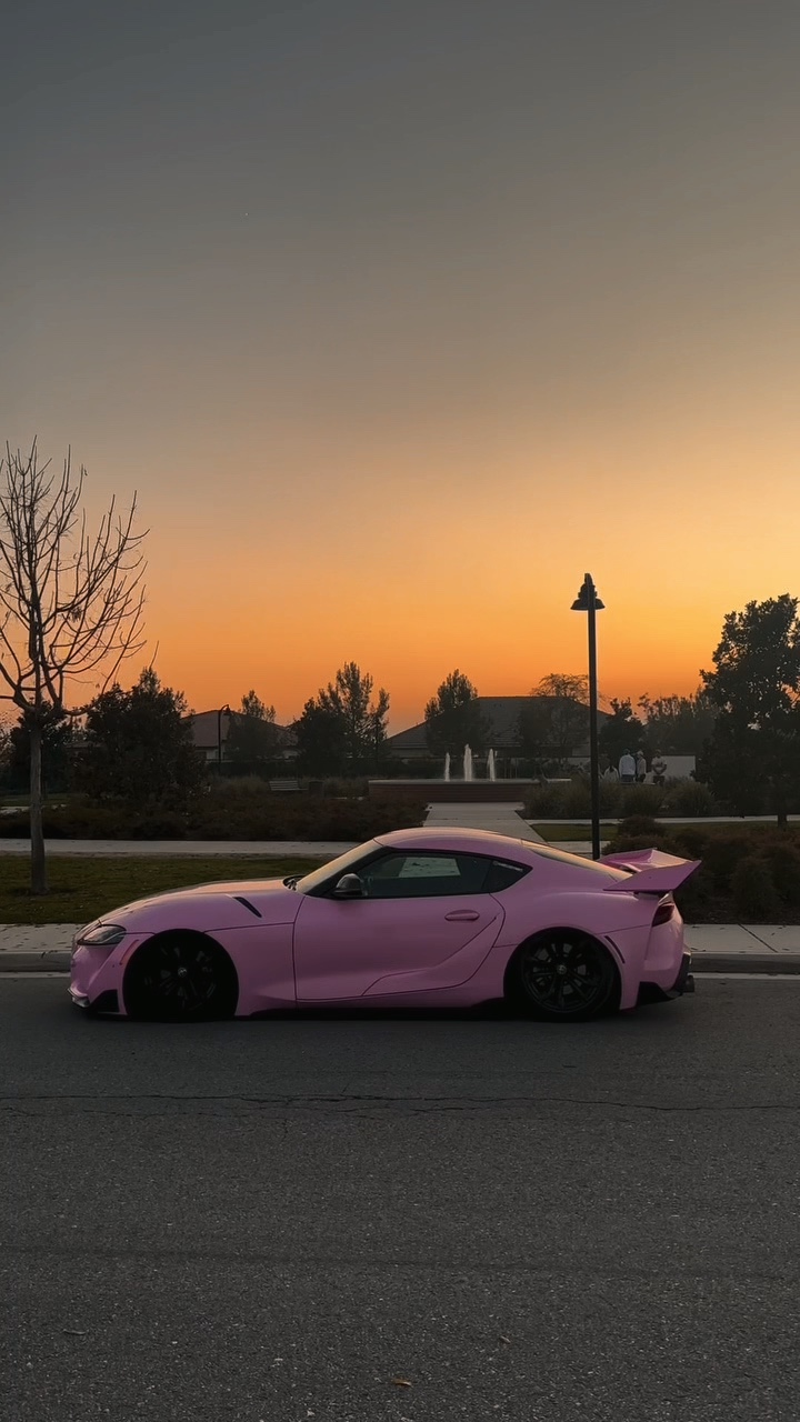 3CLIP—CAR🛞🐙