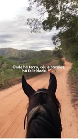 Onde há terra, céu 🐎