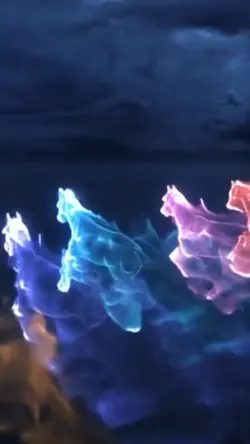cavalo horse colors