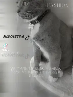 Filtro cabello rizad