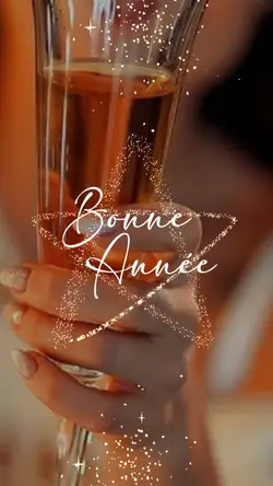 Bonne Année 