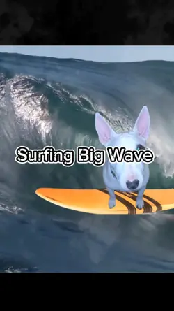 Surfing Big Wave