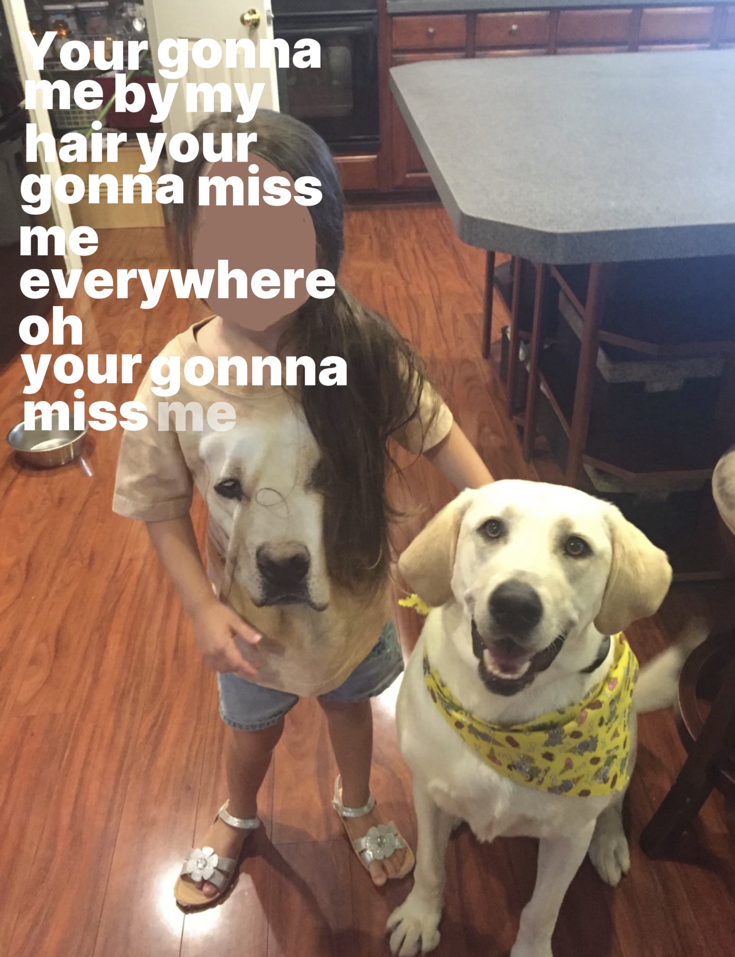 Tybee🕊️🐾