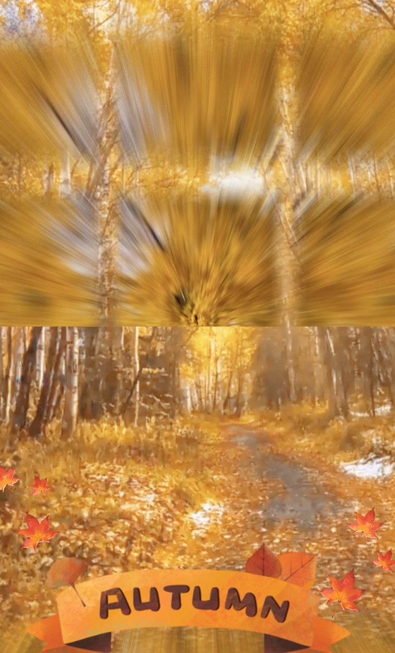 Autumn🍁
