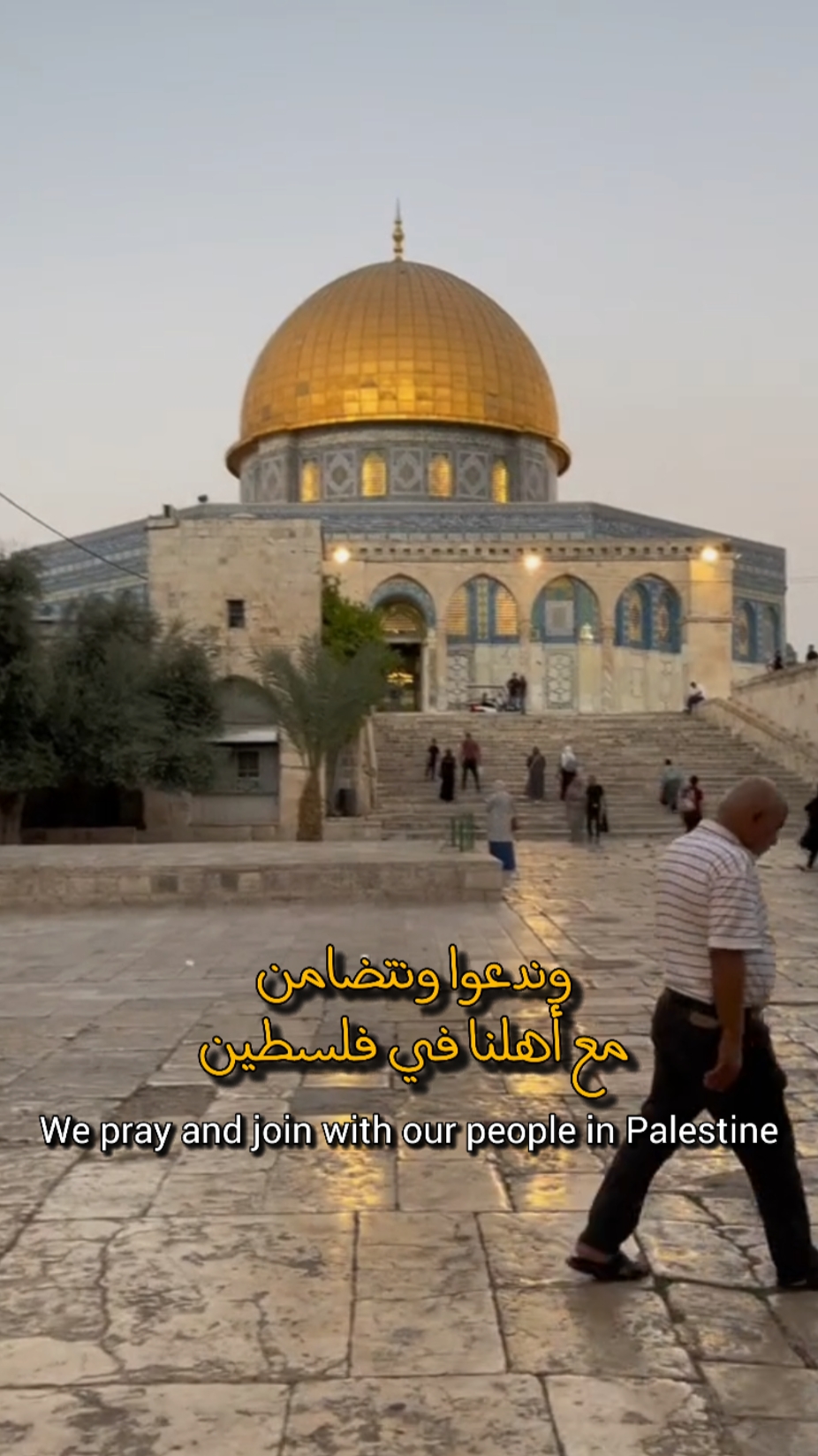 فلسطين في قلوبنا 