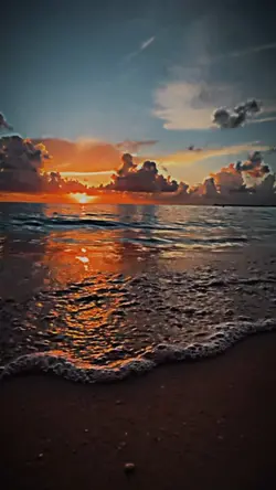 Sunset Vibez Golden