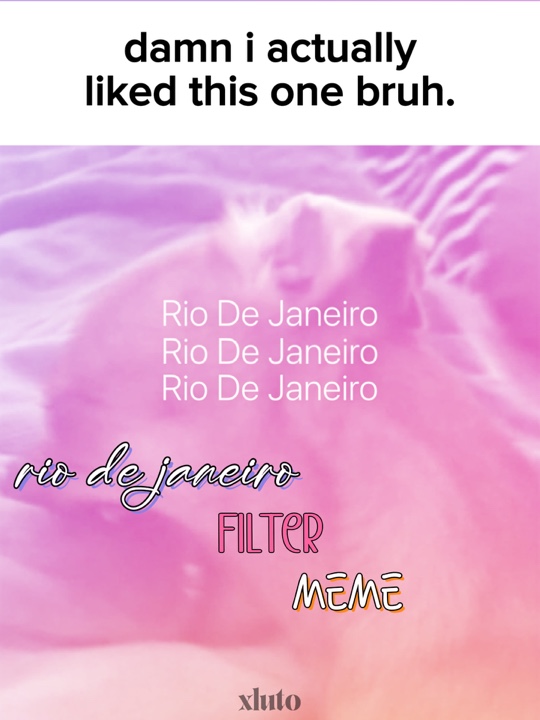 Rio de janeiro meme