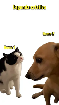 MEME cat x dog