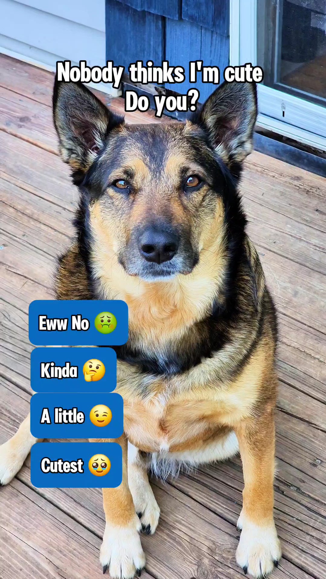 Am I cute?