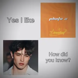 Yes I Like… (TREND)