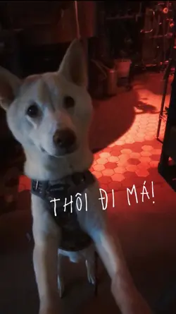  nhớ em -Viet comedy