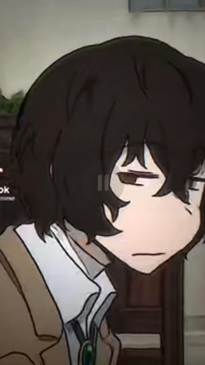 ✨BUNGO STRAY DOGS ✨