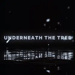 Underneath the Tree!