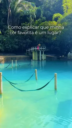Minha cor favorita