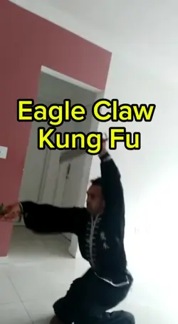 Eagle Claw Kung Fu 