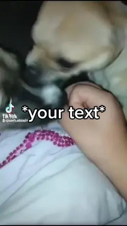 Dogs fighting over a