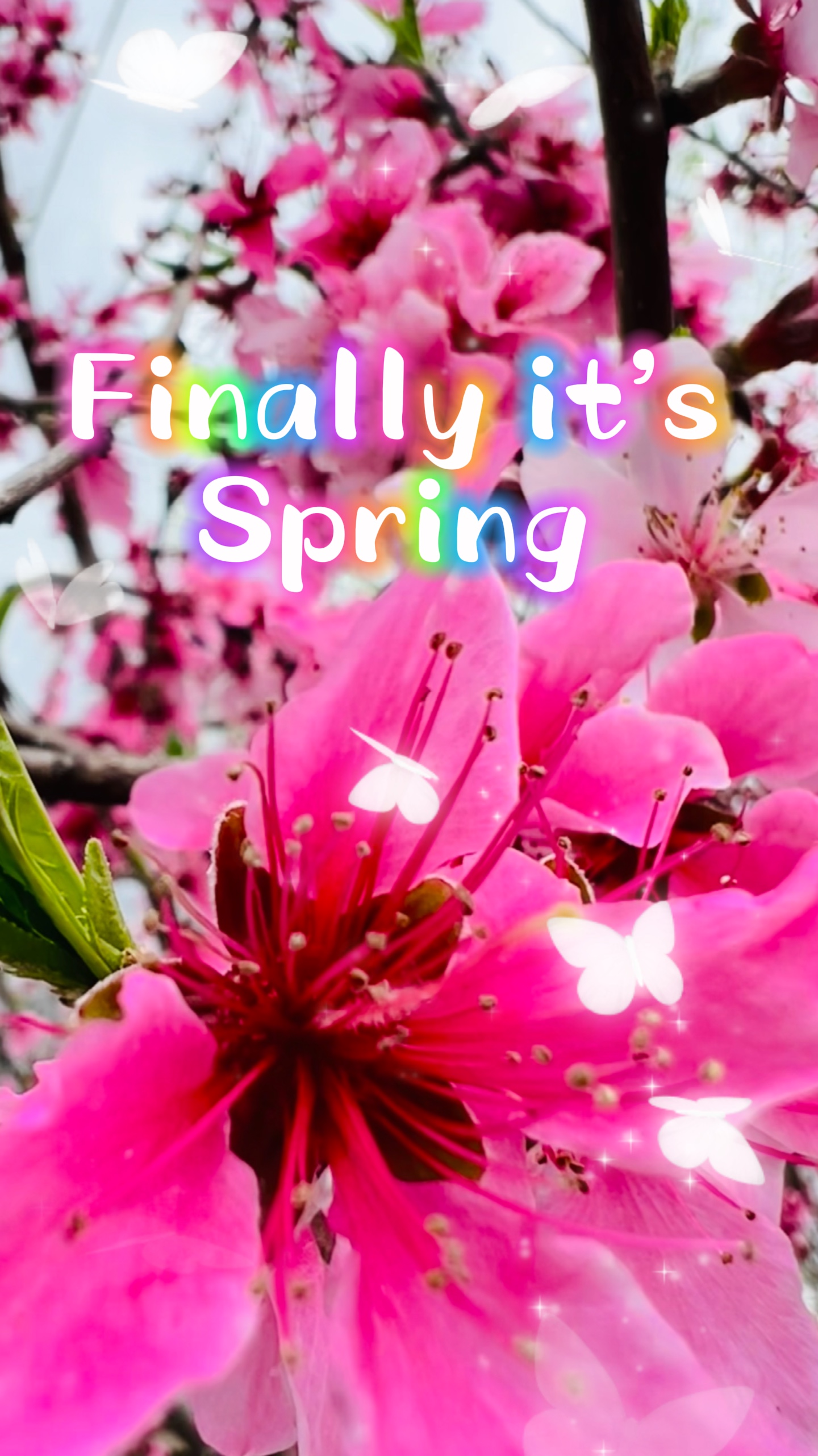Spring