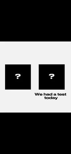 The test.