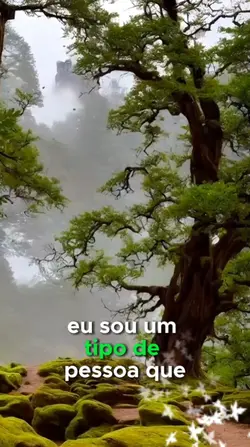 reflexão da madrugad