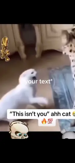 Dramatic ah cat๐ญ