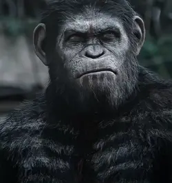 Planet of apes
