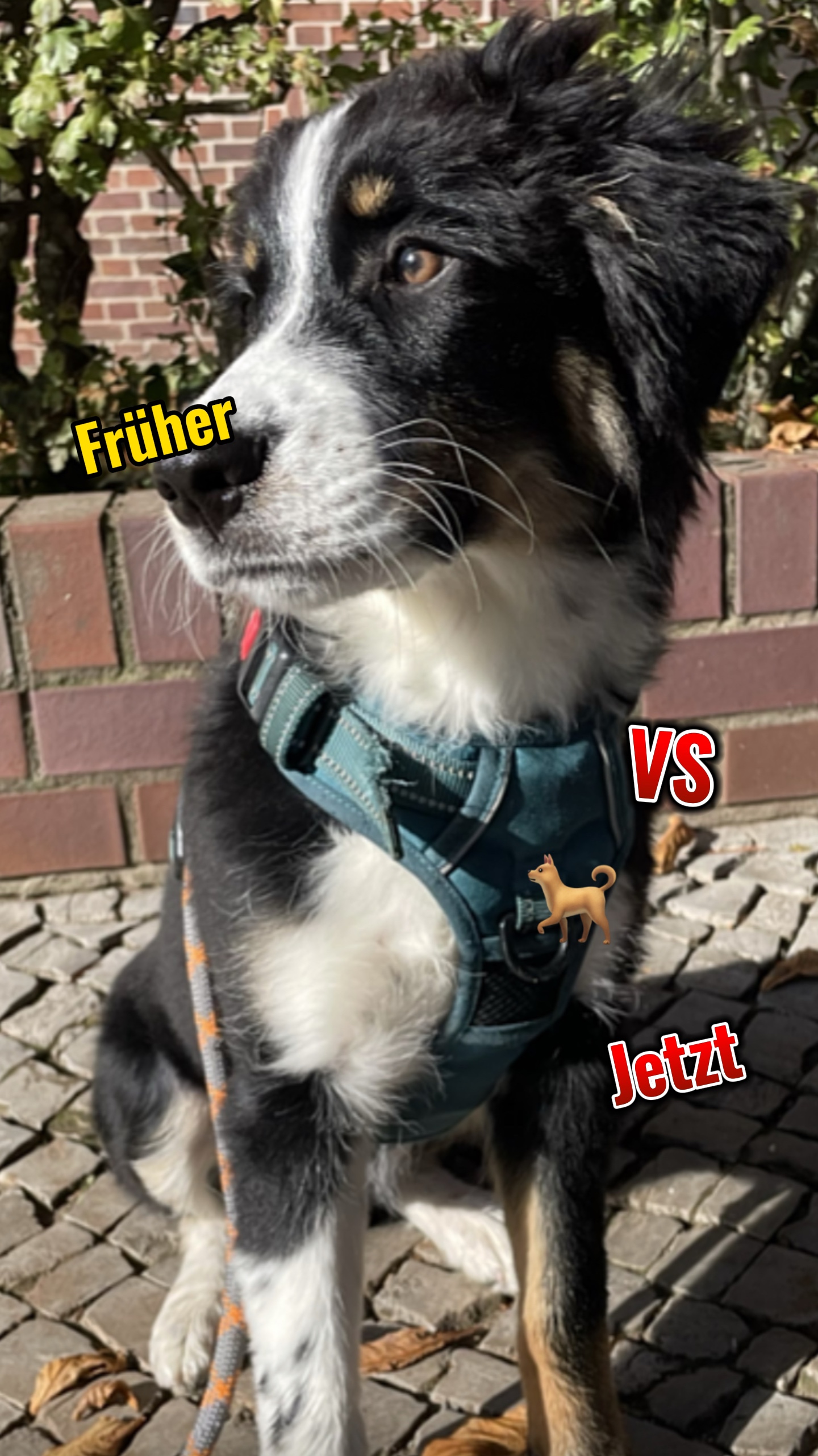 Hi, mein Name ist: