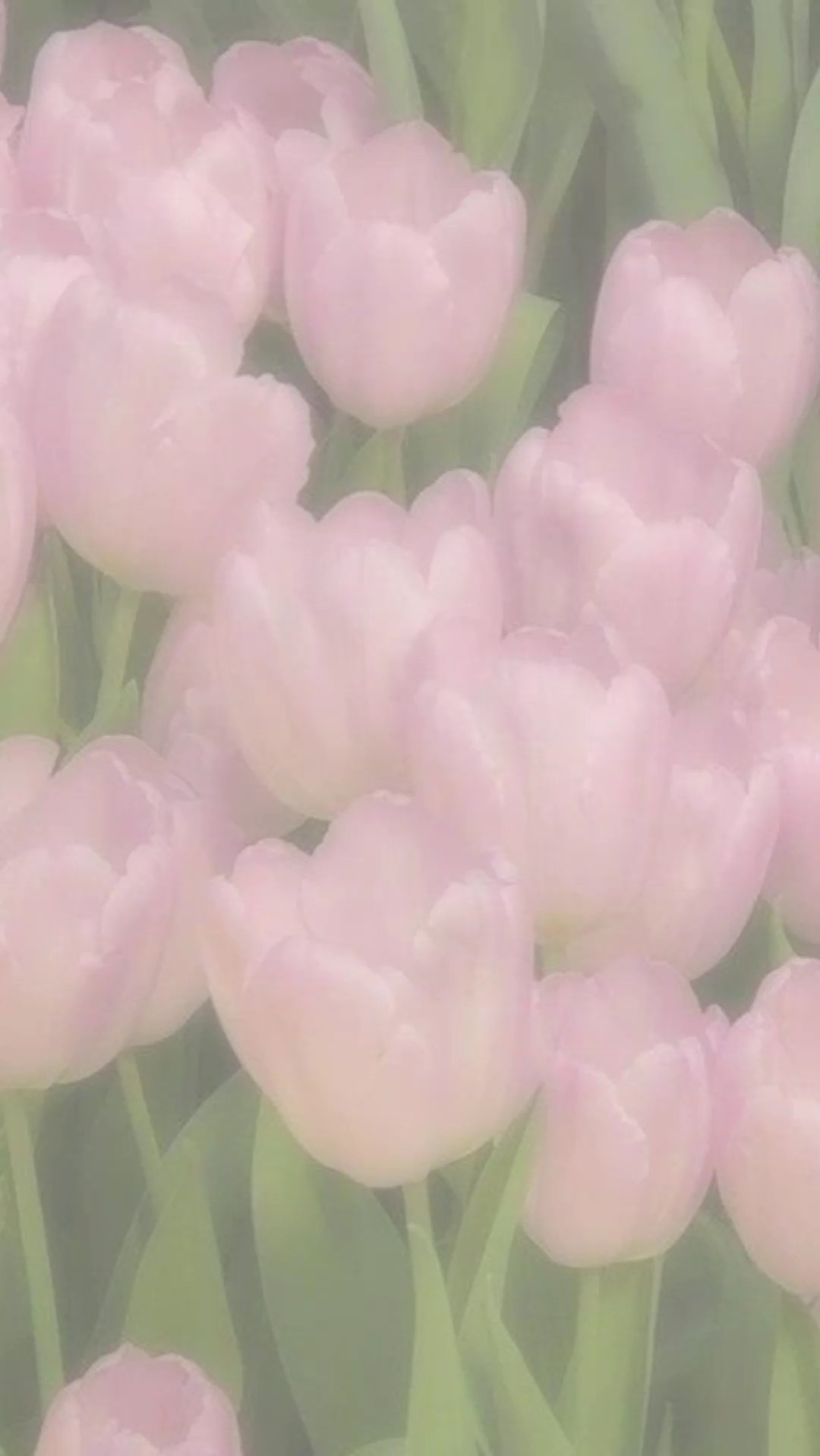 *0 comentários* KKK-