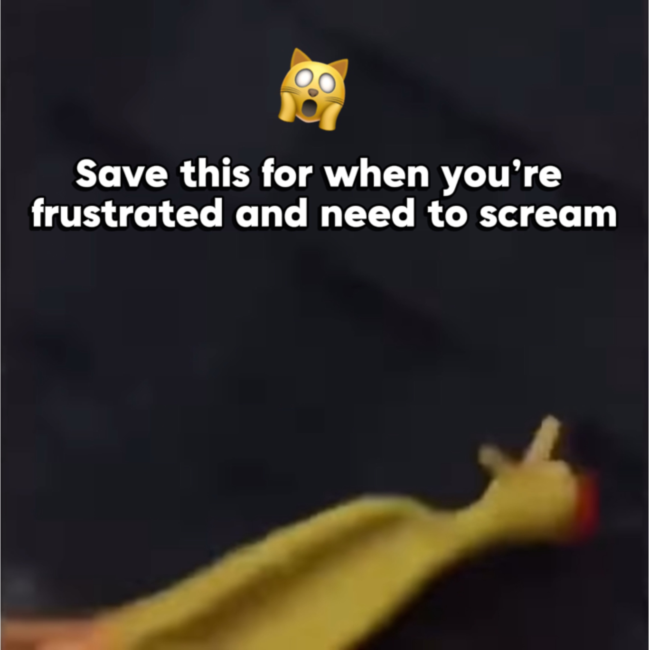 Kuş meme