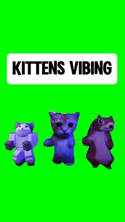 KITTENS VIBING