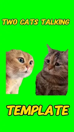 Cats talking meme