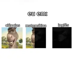 novo modelo