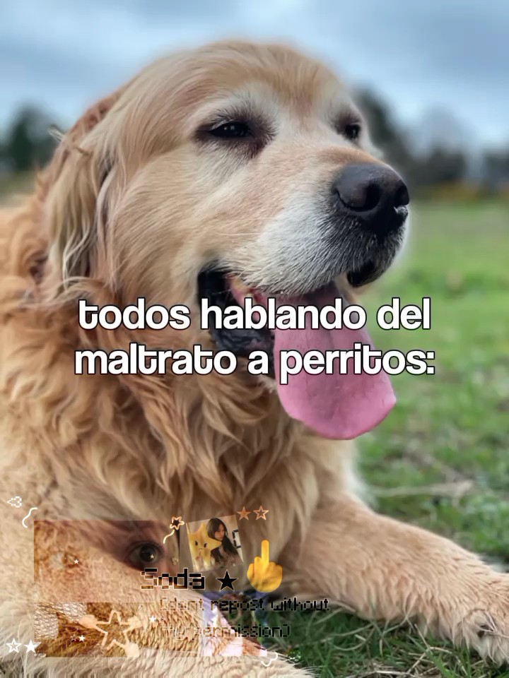 ellos igual están 