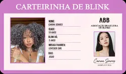 CARTEIRINHA DE BLINK