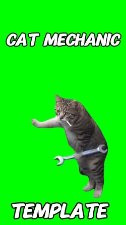 Cat Mechanic