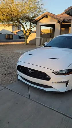 Mustang 2022