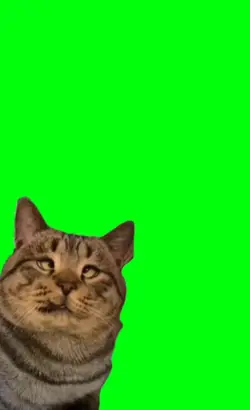 did you see anything