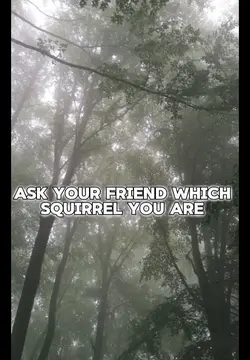 Which squirrel