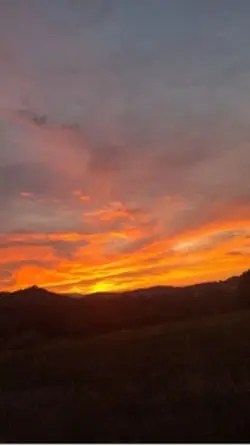 Tired of being alone