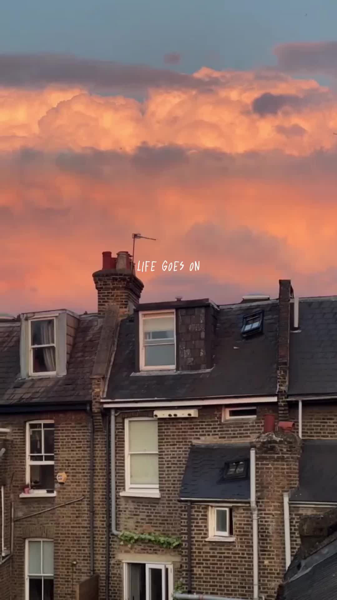 Pieces of life